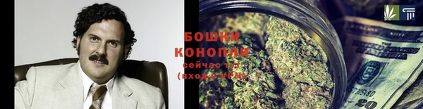 МДПВ Каменногорск