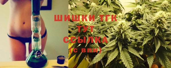 МДПВ Каменногорск