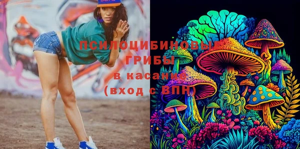 ПСИЛОЦИБИНОВЫЕ ГРИБЫ Каменск-Шахтинский