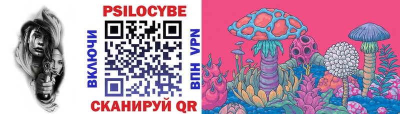 Купить закладки  Задонск  Галлюциногенные грибы Cubensis 